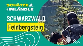 Schwarzwald - Feldbergsteig