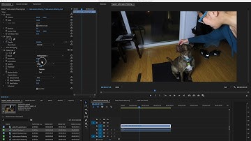 Flicker Free 2.0 Beta Overview