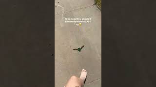 This Is the Biggest Bug Ever Seen Chasing Me! 😱 #shorts