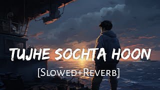 Tujhe Sochta  Hoon [Slowed+Reverb] Jannat 2 | Emraan Hashmi | Music Lovers