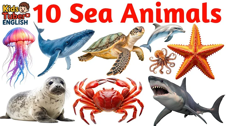 10 Sea Animals Name in English | Learn Sea Animals for Kids