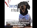 Professor Crusoe&#39;s Reminder Lecture for Flea &amp; Tick Season