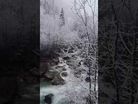 Слияние рек Геги и Юпсары. Февраль. Абхазия. Ваш #ДругИзСочи