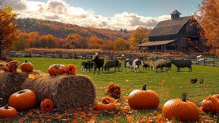 Cozy Pumpkin Farm 🍂🐓 | Autumn Farm Ambience with Farm Animal Sounds & Crunchy Leaves