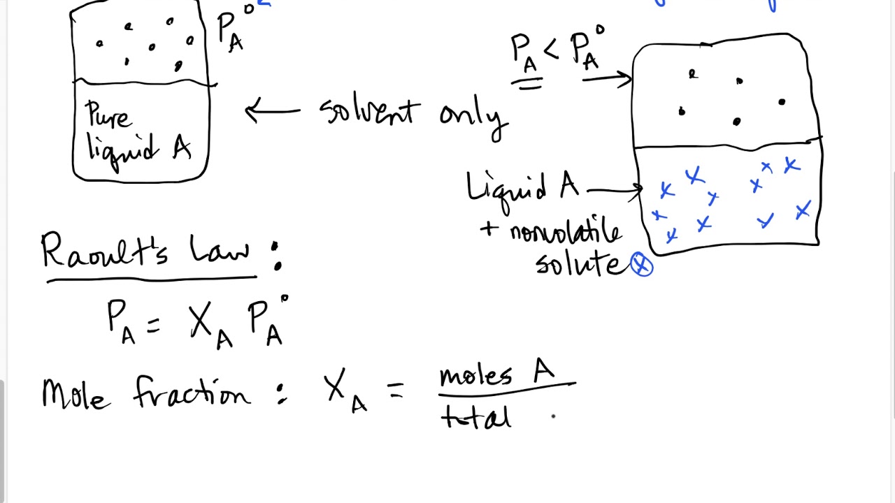 Raoult's Law - YouTube