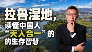 【苑举正】远眺布达拉宫与南山：拉鲁湿地，拉萨城市发展里的天人合一实践