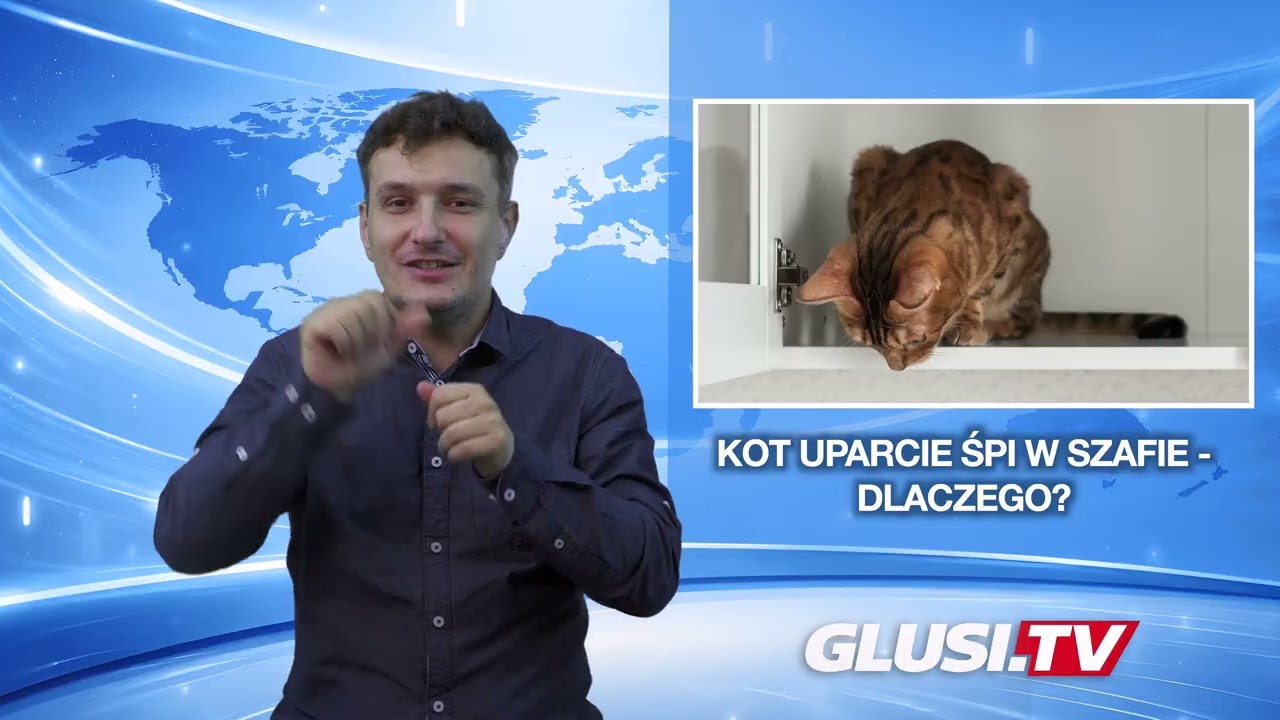 Kot uparcie śpi w szafie - dlaczego?