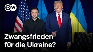 Friedensplan Für Die Ukraine - Eine Belohnung Für Russland? Dw Nachrichten
