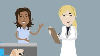 Bleeding Disorders in the Workplace: What Employees Should Know About Rights and Accommodations