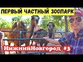 Нижний Новгород. Частный Зоопарк Лимпопо. Зоопарк Лимпопо в Нижнем Новгороде. Парк Сормово. Часть 3.