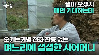 [다큐 ‘가족’ 245회 2부] 설마 오겠지 매번 기대하는데 오기는커녕 전화 한통 없는 며느리에 섭섭한 시어머니