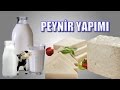 Evde Doğal Peynir, Mayasız Sirke ile Yapılışı - Peynir nasıl yapılır - Peynir yapımı