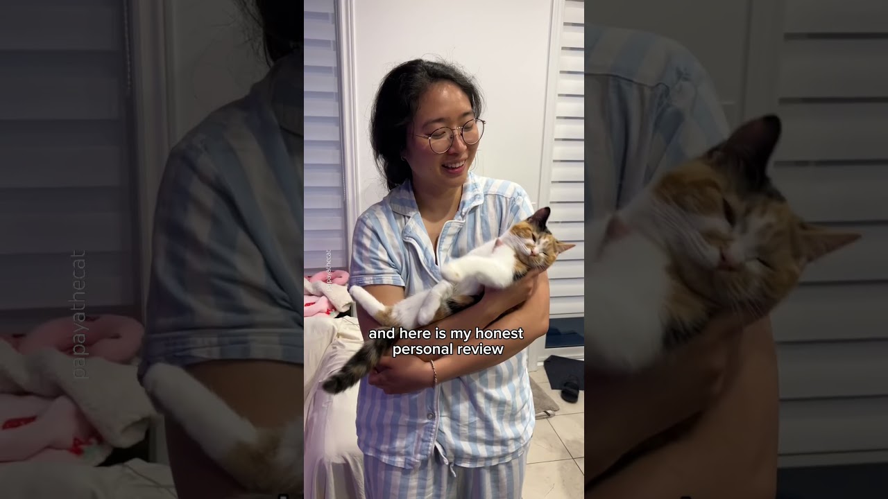 are calico cats actually spicy 🥵🌶️ 