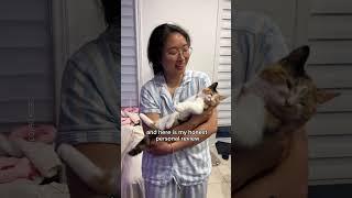 Are Calico Cats Actually Y