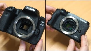 Canon 90D & M6 II Hands-On Review & Sample Photos