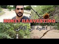 Shehad utarne ka trika shahid baloch vlog