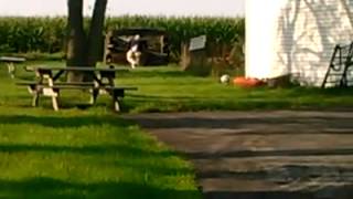 zombie exploding target.