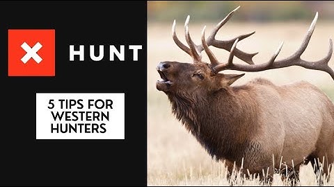 onX Tutorial: 5 Tips for Western Hunters