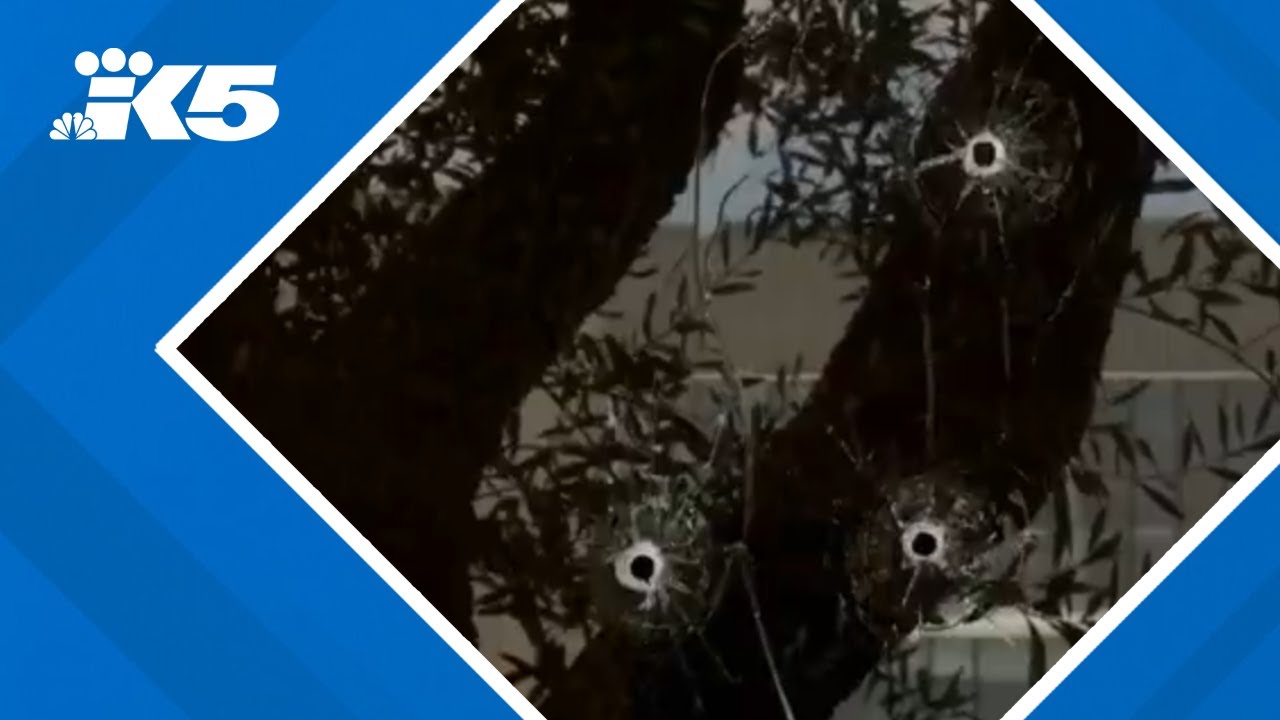 ABC affiliate in Sacramento struck by gunfire