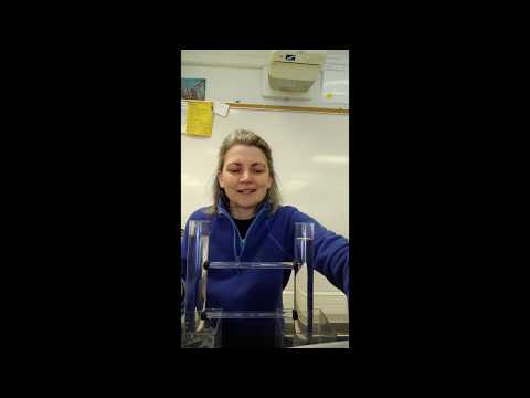 Density Currents Demo