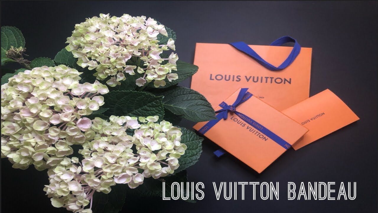 Louis Vuitton Bandeau