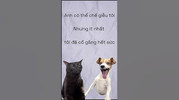 Phân biệt các kiêu "Cười" trong Tiếng Anh - Gamma Books #shorts