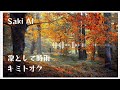 キミトオク (Kimitooku) - Synth V Saki AI cover - 凜として時雨 [Ling Tosite Sigure]