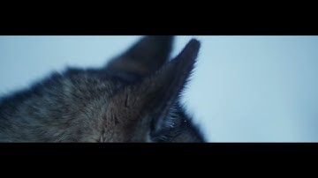 Beyond — an AI concept created in collaboration with BMW