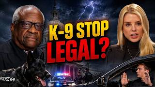What the Supreme Court ACTUALLY Says About Police K-9 Searches During Traffic Stops
