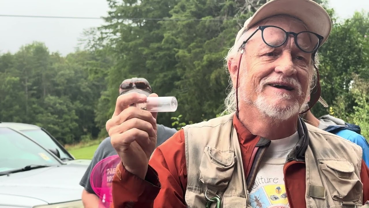 Dr McBug controlling Japanese Beetles