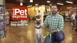 Give Your Pet the Vitality They Deserve