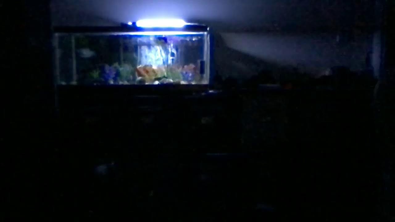 🔴 Long Time No LS | Welcome Back Silent LS!  {The Regzone}