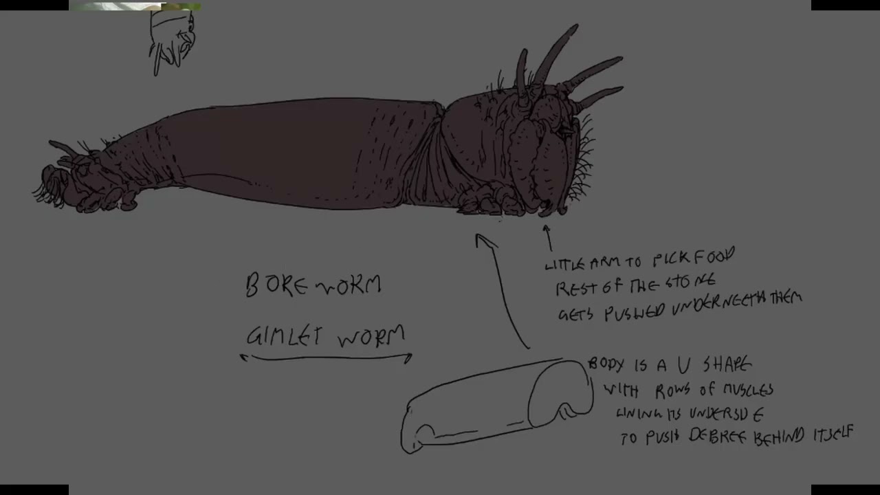 Давайте спроектируем живую дрель