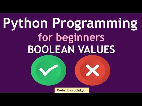 Python Programming for beginners - Boolean Values (2024)