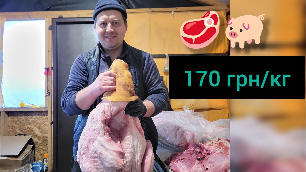 🥩🐖Справжнє домашнє сало та м'ясо по 170 грн. Свині їдять молоко, сіно та витівки зерно #pig #cow