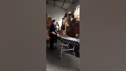 No Power Telescopic Roller Conveyor for Track Loading and Unloading #conveyor #conveying