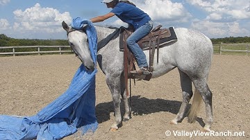 Docs Highpistolannie***For info, price, etc., go to our website***ValleyViewRanch.net