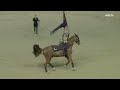 Magic from Kathrin Meyer! | Female Technical Test | FEI Vaulting World Cup™ Final 2025