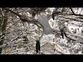 Drone crash in trees + deep snow recovery