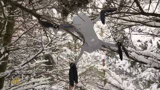 Drone crash in trees + deep snow recovery