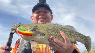Absolute madness fishing the Edward River for Murray Cod,,, Snake on board, nearly