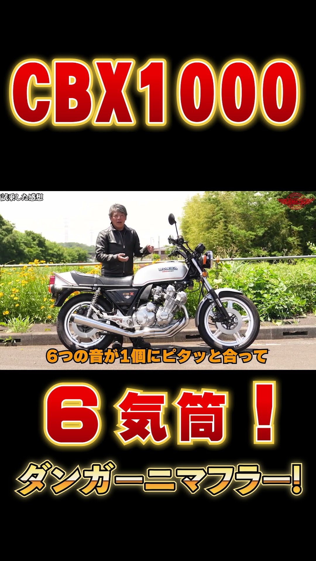 CBX400f 悪スケ ワルスケ ワルタン モリタン