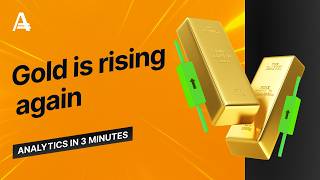 Gold is rising again | AMarkets
