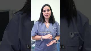 Falla de implantación: ¿qué puede estar pasando?