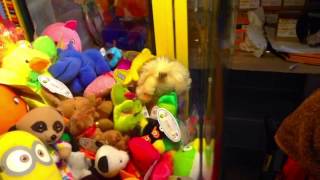 Sam Vs Ben Claw Machine Challenge Jelly