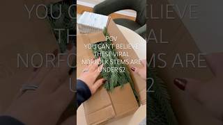 AMAZON LOOK FOR LESS NORFOLK PINE STEMS #amazonfind #christmasfinds #amazon #christmasdecor