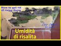 L&#39;umidità di risalita, ecco cosa fare -How to get rid of rising damp. eliminare umidità di risalita