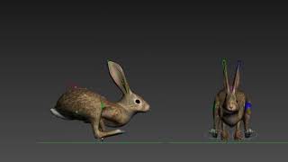 3D Rabbit Rig and Animation - By: Jeremy Dilks