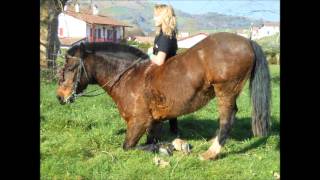 Cavalieres Du 64 Présentation