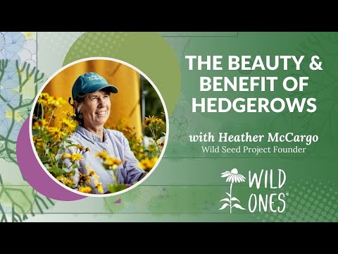 "The Beauty and Benefits of Hedgerows" with Heather McCargo